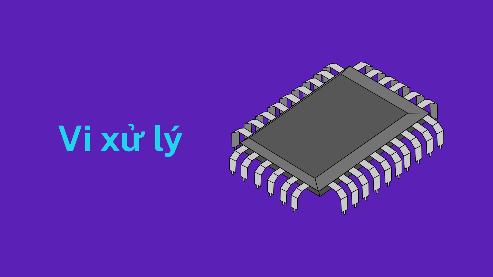 Vi xử lý